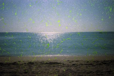 Sunburst reflections on shallow waves, sandy shore, and misty horizon. Low-angle composition captures light distortion. Coast...