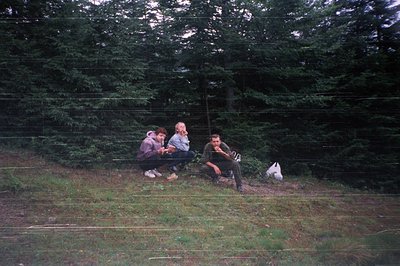 Three individuals seated on a rustic wooden bench in a forested area, surrounded by dense evergreen trees. The scene suggests...