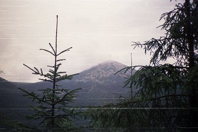 Vintage landscape shot through a window frame, showcasing misty mountain peaks and evergreen trees. Soft focus and film grain...