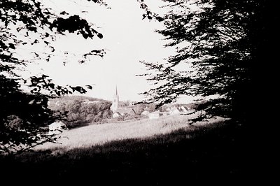 Black-and-white sepia-toned shot of a Gothic-style church steeple framed by dense foliage, likely mid-20th century. The compo...