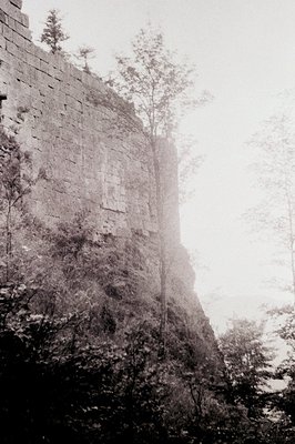 Black-and-white sepia-toned image of a rugged stone fortress wall atop a cliff, with sparse vegetation and a lone tree growin...