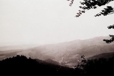 Black-and-white mountain landscape with misty valleys and winding road, framed by tree branches. Vintage sepia tone suggests ...