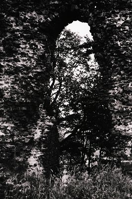 High-contrast black-and-white shot of a lone tree framed by jagged rock formations, sunlight streaming through the branches. ...
