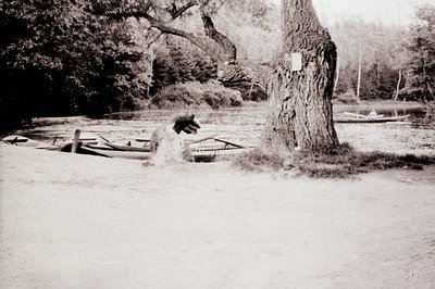 Vintage black-and-white photo of a lakeside scene with three wooden rowboats resting on shore. A lone horse stands near a lar...