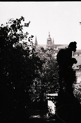 Silhouetted figure leaning on a wrought-iron balcony railing, framed by dense foliage. Gothic-style church spires dominate th...
