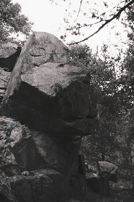Monolithic rock formation resembling a seated human figure in dense forest. Black-and-white, high-contrast composition highli...