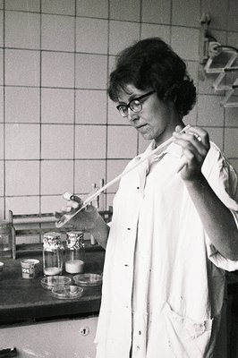 A scientist in a lab coat and glasses carefully handles a petri dish with a pipette. Visible lab equipment and glassware sugg...