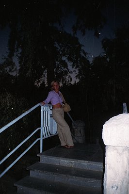 A young woman poses on a stone staircase with white metal railings, overlooking a dark, tree-lined landscape at dusk. She wea...