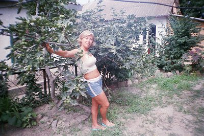 A woman stands beneath a fig tree in a backyard setting, wearing a cropped top and shorts. The scene suggests a relaxed, casu...