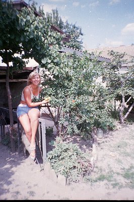 A young woman sits on a weathered wooden fence in a sun-drenched garden, apparently gathering fruit from a nearby tree. The s...