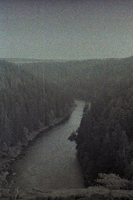 A winding road traverses a forested landscape, disappearing into the distance. Dense evergreen trees fill the frame, creating...