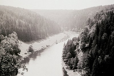 A river winds through a dense, evergreen forest valley. Towering trees line both banks, creating a dramatic, framed perspecti...