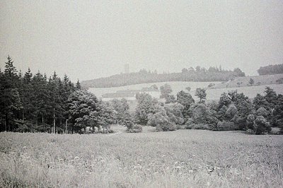 Sweeping view of a grassy meadow and gently sloping hillside, punctuated by a dense line of evergreen trees. A distant buildi...