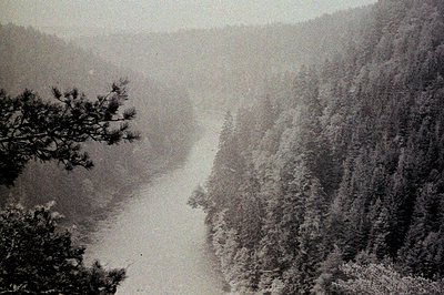 A snow-covered mountain landscape. A winding path leads through dense, frosted evergreen forest. Heavy snowfall obscures dist...
