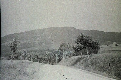 Dusty dirt road leads uphill towards a forested mountain. Tall grasses and scrubby vegetation line the roadside. Sparse, olde...