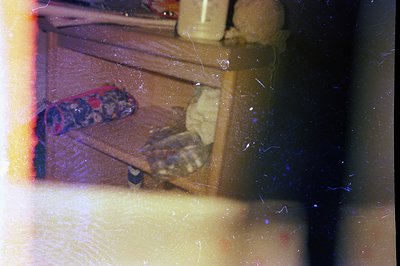 Vintage color photograph depicts a weathered wooden shelf interior. Items include a red floral fabric, a stack of books, and ...