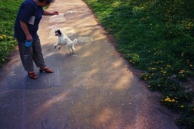 A person in a patterned top and cropped trousers, wearing sandals, stands on a paved path. A small white dog with black marki...