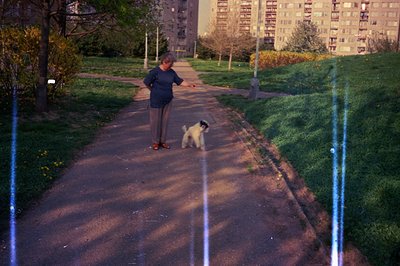 A woman in high-waisted pants and a dark top interacts with a small, fluffy dog on a paved path. Tall apartment buildings are...
