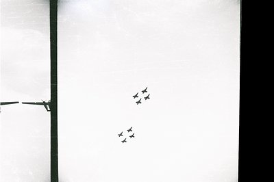 A stark, minimalist composition featuring a flock of birds silhouetted against a bright, textured background. A dark, vertica...