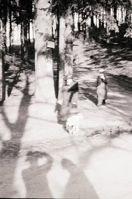 A monochromatic photograph shows two figures and a dog walking along a path lined with tall trees. The composition focuses on...