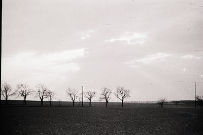 Striking black and white photograph showcasing a barren field and line of leafless trees against a dramatic, cloudy sky. Like...