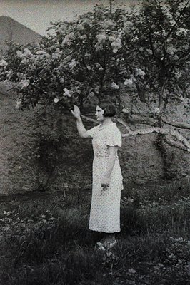 Vintage portrait features a woman in a floral-embroidered dress, reaching towards a flowering tree. The scene suggests a gard...