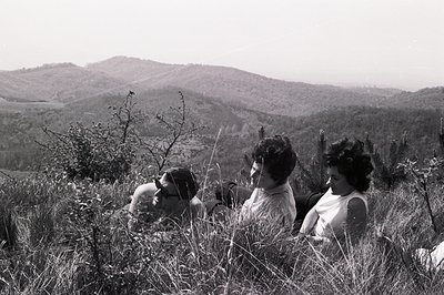 Three women, dressed in 1960s attire, are seated amongst tall grass with a sweeping hillside landscape in the background. The...