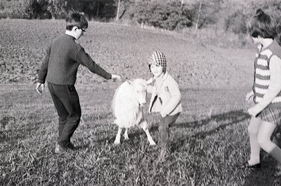Three children interact with a goat in a grassy field. Two boys and a girl, dressed in 1960s/70s attire, appear to be playful...