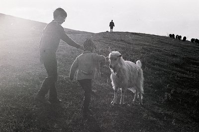 A boy interacts with a fluffy white goat on a grassy hillside. A second, distant figure stands on the crest of the hill. Like...
