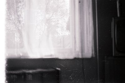 A grayscale image shows a window draped with sheer curtains, partially obscuring a view of bare tree branches. The image exhi...