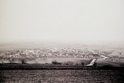 A panoramic view of a rural European town, likely Eastern Europe, circa early 20th century. The settlement features tradition...