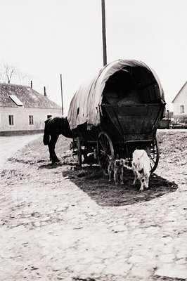A horse stands tethered to a covered wagon in a rural setting, likely Eastern Europe. The wagon's canvas appears aged and wea...