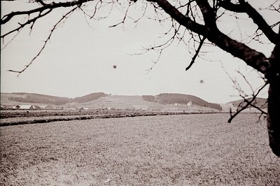 A monochrome landscape featuring a vast, open field leading to rolling hills and a distant village. A bare tree branch frames...