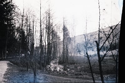 A grayscale photo captures a narrow stream flowing through a field of tall, bare trees. A gently sloping hillside rises in th...
