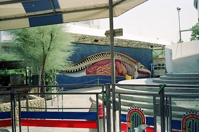 A large, vividly painted mural of a whale skeleton dominates the view; signage indicates "Trent'anni di emozioni" (30 years o...
