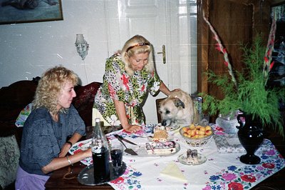 A seated woman with curly hair and a gingham shirt is partially visible. A blonde woman in a patterned dress feeds a dog near...