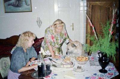 Two women interact with a fluffy, light-colored cat set around a table laden with food. Likely a candid family snapshot, poss...