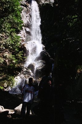 Lush green foliage frames a powerful waterfall cascading down a rocky cliff face. Two figures stand near the base, partially ...