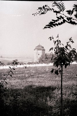 A stone observation tower stands above a field, partially obscured by foliage in the foreground. The tower features a conical...