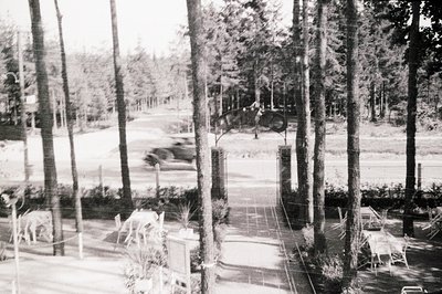 A view of a formal garden with a decorative archway, framed by tall pine trees. The scene suggests a well-maintained estate o...