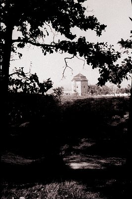 A stone tower, likely a folly or ornamental structure, is framed by tree branches in this black and white photograph. A narro...