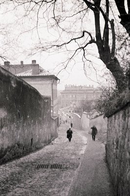 A narrow, sloping cobbled path is framed by high stone walls and overhanging tree branches. Two figures walk away from the vi...