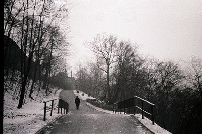 A lone figure walks a snow-covered path leading uphill. Bare trees line both sides, creating a stark, wintry landscape. The s...