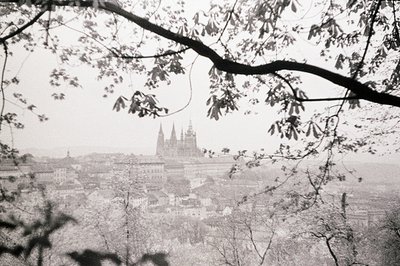 A view of Prague’s historic cityscape, dominated by the gothic towers of St. Vitus Cathedral. The image, captured through bar...