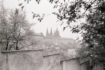 A view of Prague Castle, visible through trees and rooftops, captured in a grainy black and white photograph. The castle’s go...