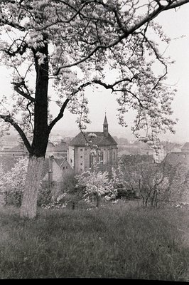 Classic black and white image depicting a church with a spire, set within a landscape of lush grass and flowering trees. A la...