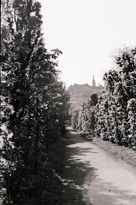A long, winding path flanked by dense foliage leads towards a hilltop settlement featuring distinctive spires and church towe...