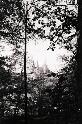A fairytale castle appears through foliage framing the composition. Architectural details show turrets and gothic spires agai...