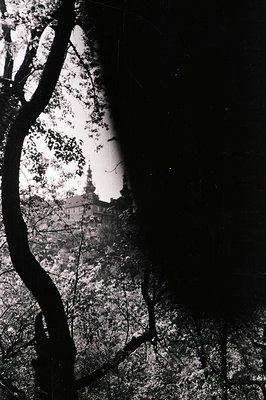 A detailed, black and white photograph of a castle framed by a dark, curving tree. The castle's structure includes multiple t...