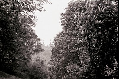 Framed by dense foliage, a view of distant church spires pierces through a misty landscape. The composition suggests a formal...